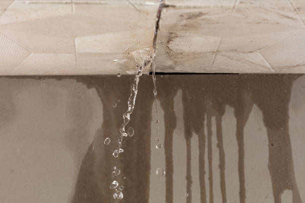 Professional Burst Pipe Cleanup technician working in Saint David, AZ